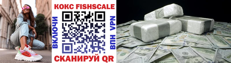 дарнет шоп  Бронницы  COCAIN Fish Scale 