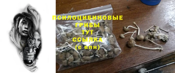 PSILOCYBIN Баксан