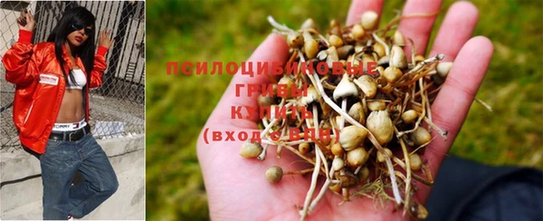 ешки Балабаново