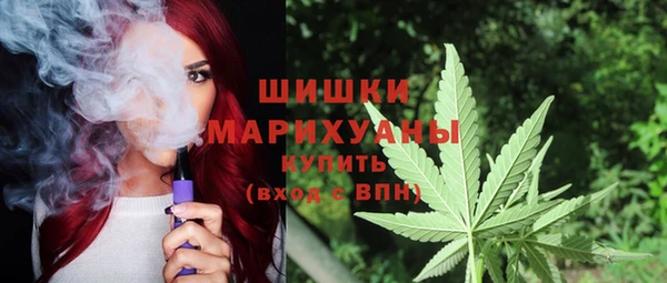PSILOCYBIN Баксан