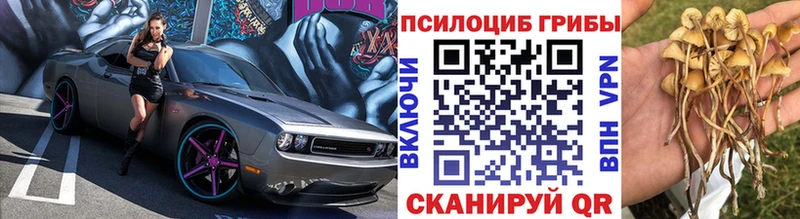 магазин    Бронницы  Галлюциногенные грибы ЛСД 